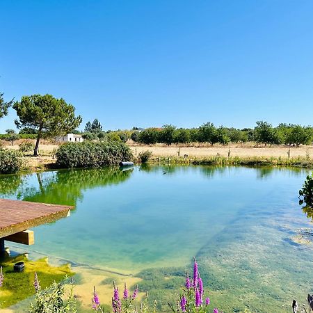 Glamping On Organic Yoga Farm With Natural Swimming Pool Near Beach Moncarapacho Zewnętrze zdjęcie